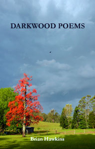 cover of Darkwood Poems